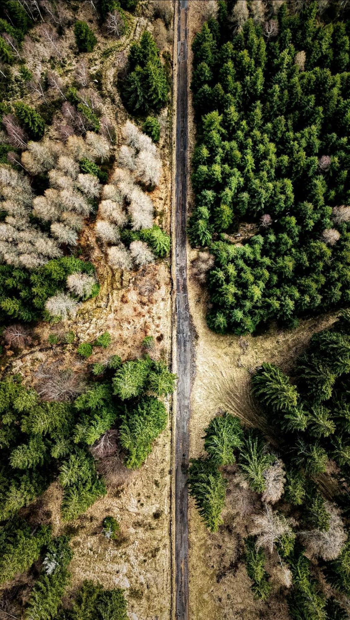 Biorezydencja ชเวียราโดว์-สโดรยจ์ ภายนอก รูปภาพ